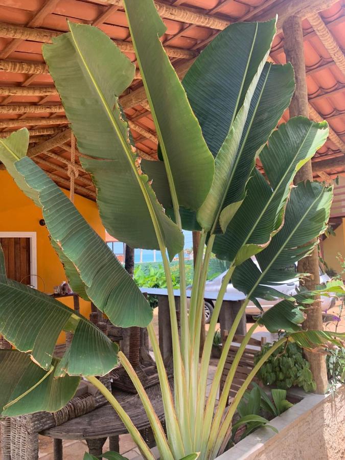 Ville Sweet Home Canoa Quebrada Bagian luar foto