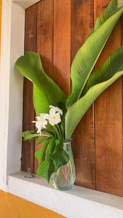 Ville Sweet Home Canoa Quebrada Bagian luar foto