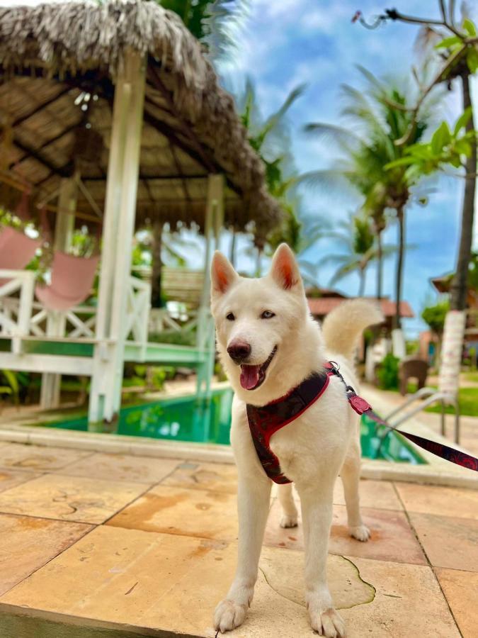 Ville Sweet Home Canoa Quebrada Bagian luar foto
