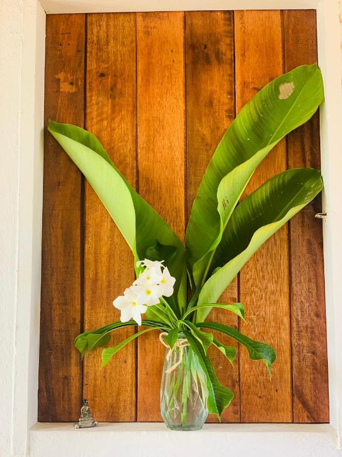 Ville Sweet Home Canoa Quebrada Bagian luar foto
